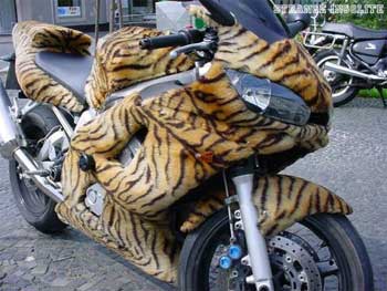 La moto tigre