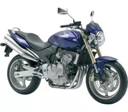 Photo de la Hornet 600 bleu Hornet 600