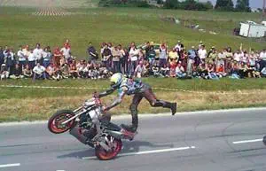 Wheelie Flamingo Wheelie Flamingo